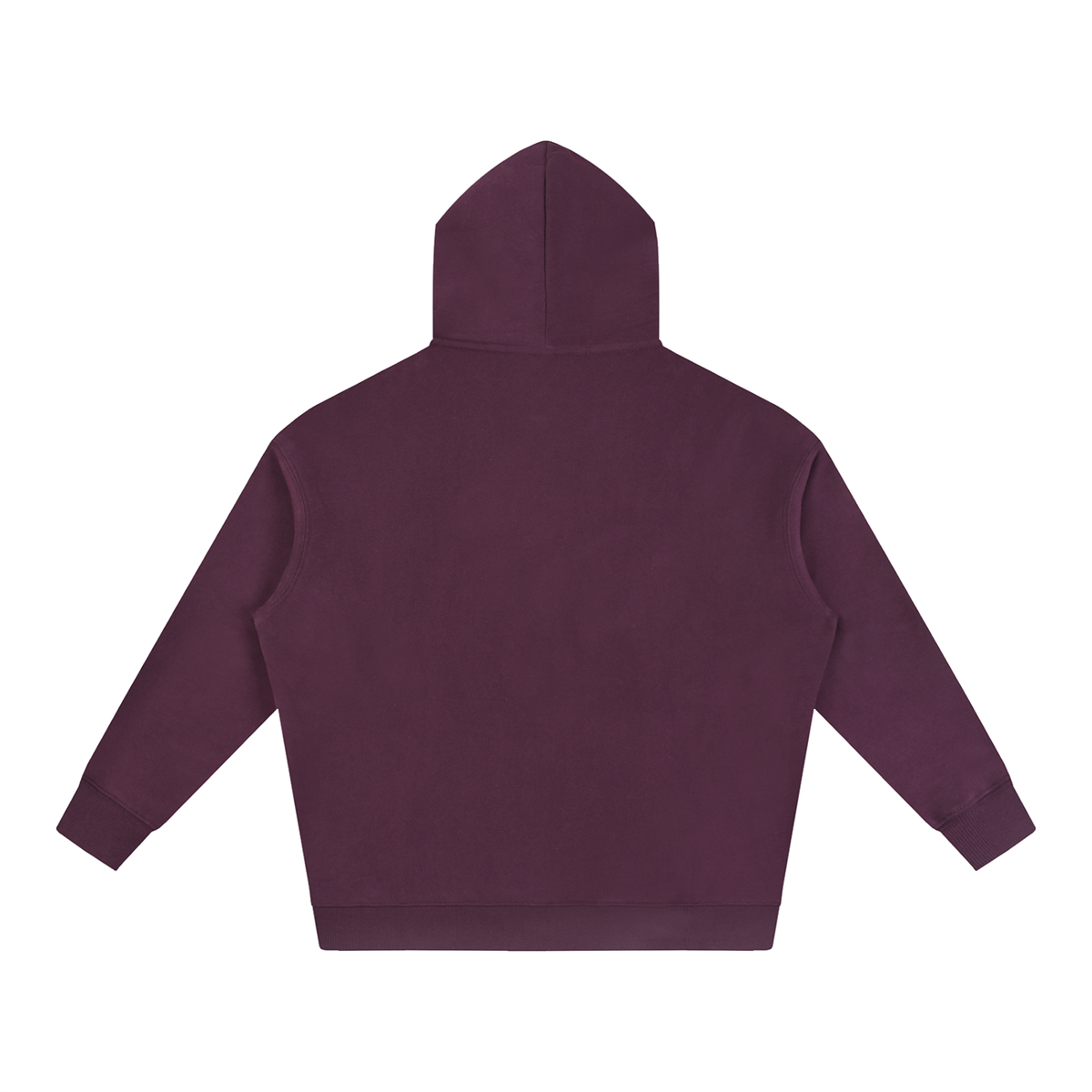 Halo Wings Oversize Fleeced Hoodie