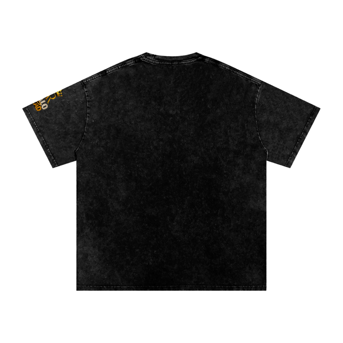 Snow Washed Oversized Cotton T-Shirt (AR-HH Halloween)
